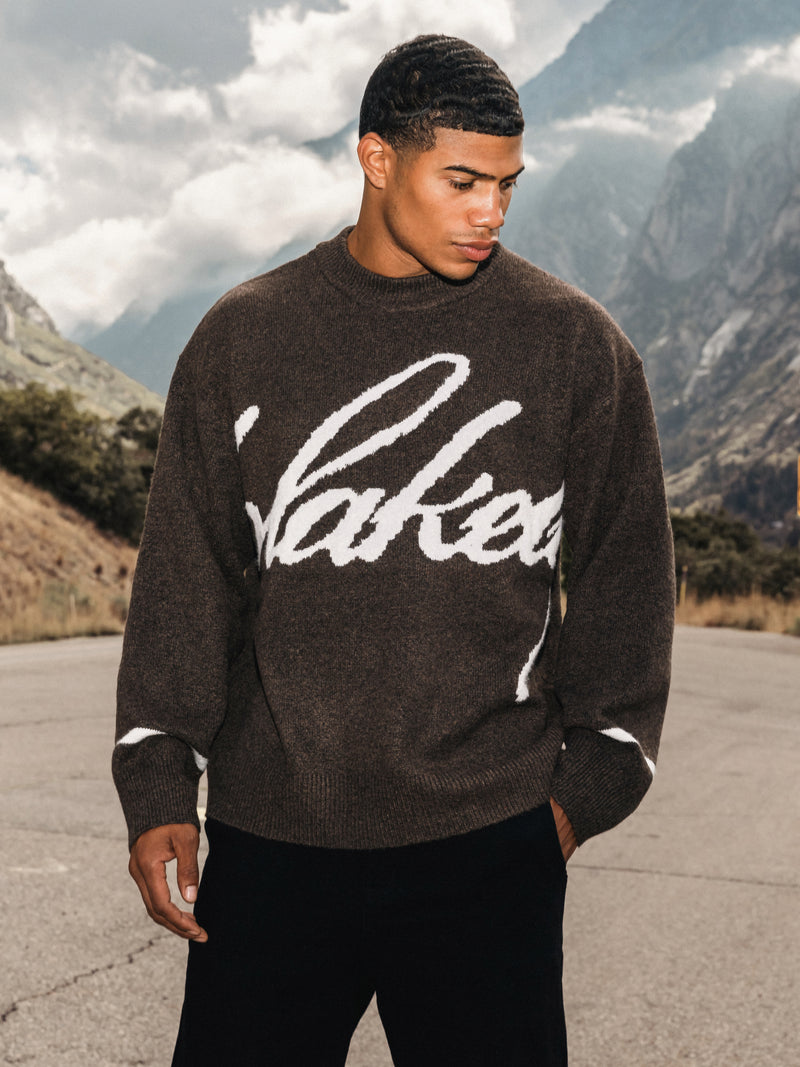 Abel Script Strickpullover - Dunkelbraun