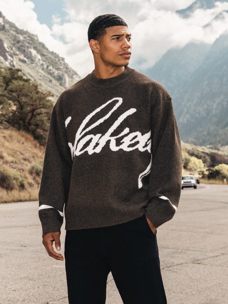 Abel Script Strickpullover - Dunkelbraun