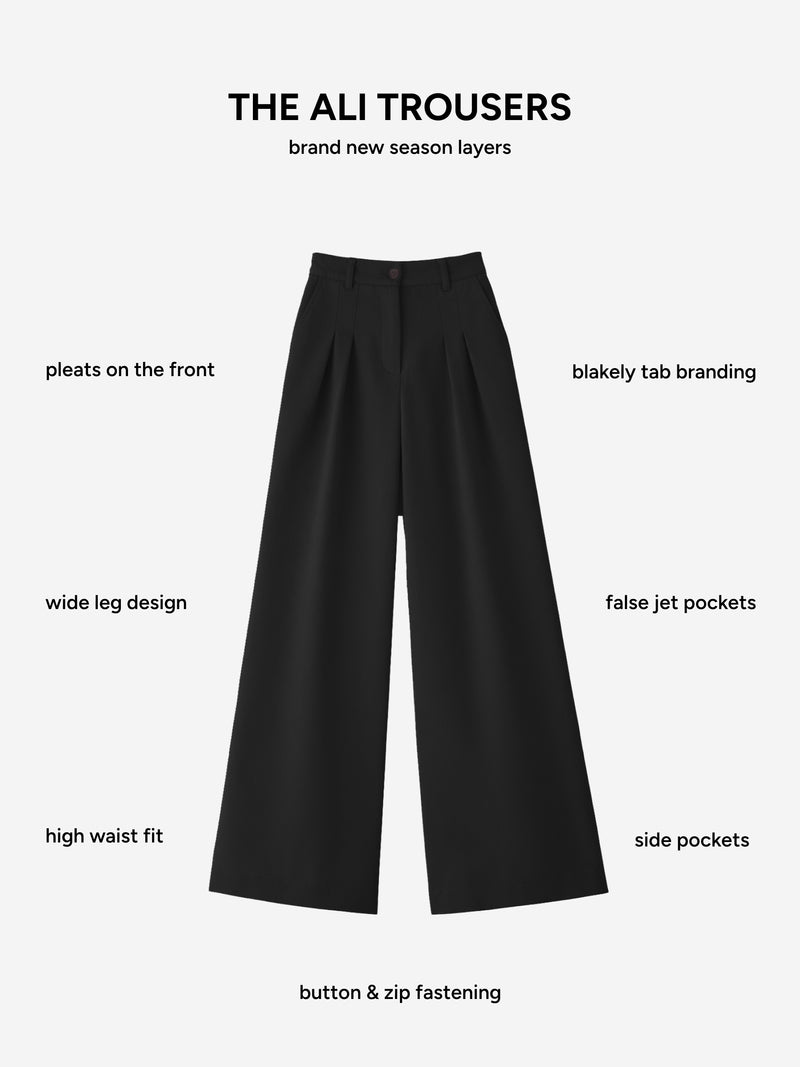 Ali Pleated Trousers - Zwart